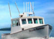 oceanrunner charters