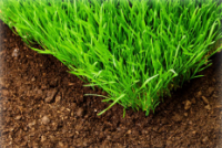 Soil enhancement through biological matter